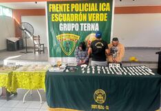 Ica: “Los alarakos sureños” caen con medio kilo de PBC en el distrito de La Tinguiña