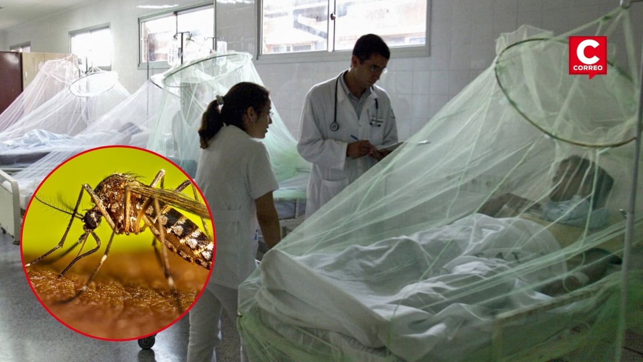 Casos de dengue en Perú superan los registrados en 2025: especialistas advierten riesgo por Fenómeno El Niño. Composición: Diario Correo.