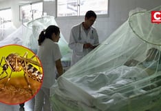 Casos de dengue en Perú superan los registrados en 2025: especialistas advierten riesgo por Fenómeno El Niño