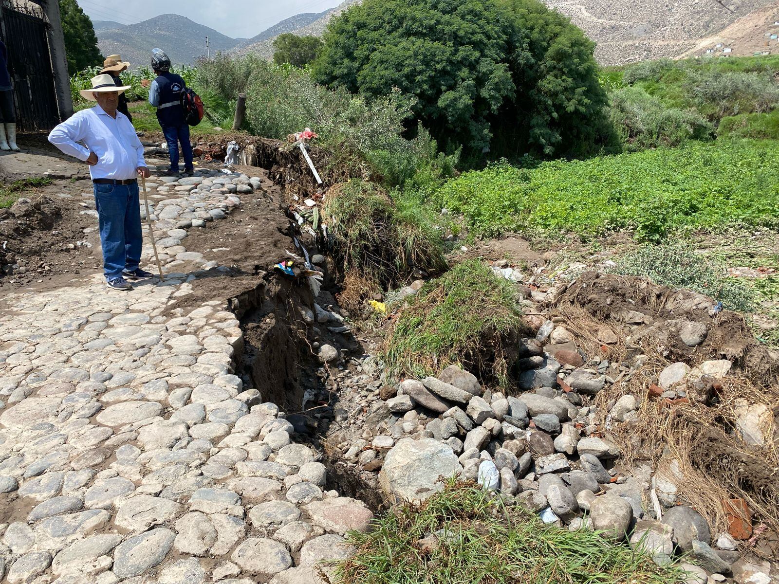 Agricultores perdieron 8 hectáreas de cultivos. (Foto: GEC)