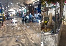 Ica: fortalecen acciones para evitar la propagación del dengue tras lluvias intensas