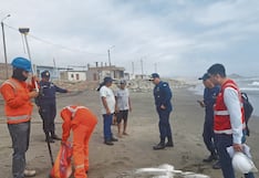 Trujillo: Reiniciaron trabajos de enrocado en el sector Taquila II