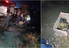 Pisco: encuentran cráneo humano y restos de prendas de vestir entre los matorrales