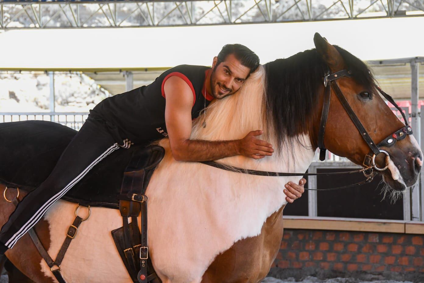 La Tarumba en Arequipa y su show de caballos artísticos. (Foto: Leonardo Cuito)