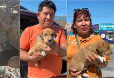 Nasca: un nuevo comienzo para cuatro cachorros rescatados del botadero municipal
