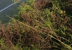 Jauja: Acolla y Marco son declarados en emergencia por lluvias