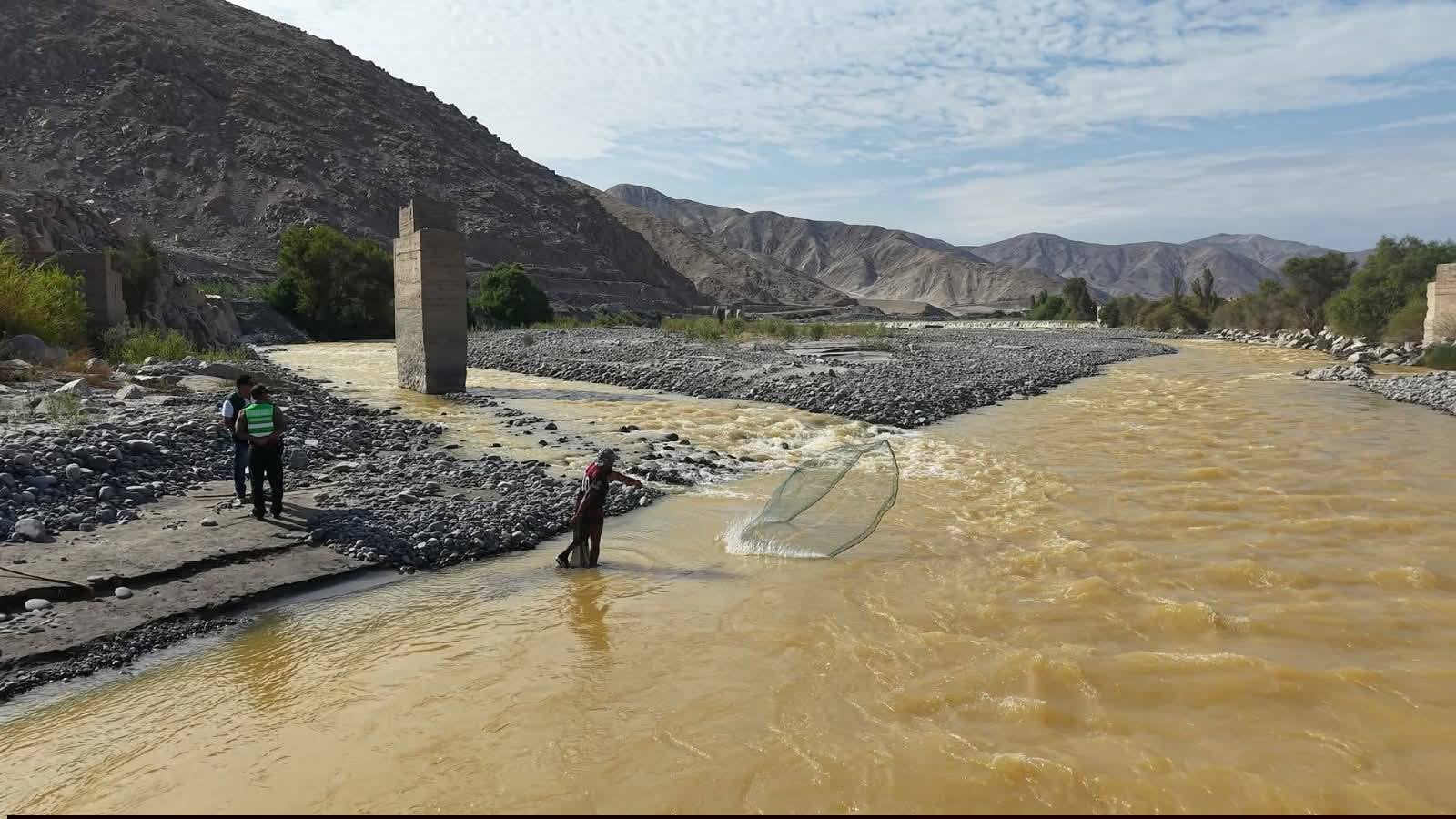 Río Tambo con coloración amarillenta genera preocupación a agricultores (Foto: Municipalidad de Islay)
