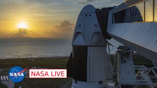 SpaceX y NASA TV EN VIVO HOY: Lanzamiento del Crew Dragon hacia la ISS