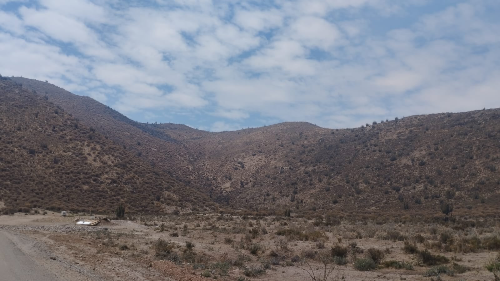 Incendio forestal en Lluta, Caylloma. Foto: COER Arequipa.