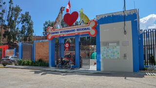 Advierten peligro por residuos biocontaminados en centro veterinario municipal de Huancayo