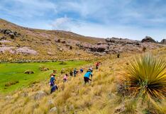 La Libertad: Reforestan con más de 140 mil plantones de pino la cuenca del río Virú-Huamanzaña