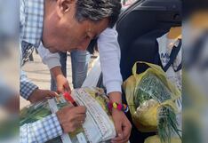 Monitorean la presencia de agroquímicos en verduras que se expenden en mercados de Arequipa