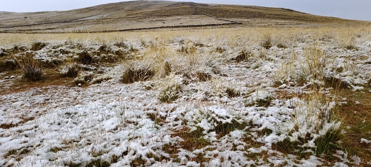 Helada en Arequipa: Temperatura baja hasta 18.7 grados bajo cero (Foto: Nelly Hancco/@photo.gec)