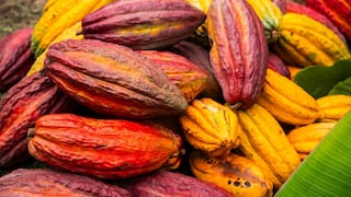 Cacao peruano en 2025: lo bueno, lo pendiente y lo interesante