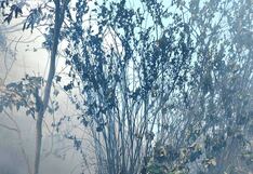 Chincha: quema de basura casi desata un infierno en la av. Simón Bolívar en Pueblo Nuevo