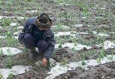 Seguro Agrícola Catastrófico: estos son los 18 riesgos por desastres naturales que cubre