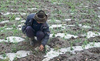 Seguro Agrario pagará 650 soles por cultivos dañados en Huancavelica