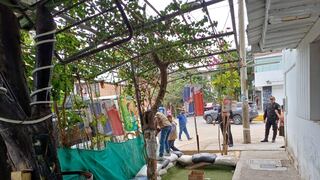 Desmantelan estructuras de locales donde expendían bebidas alcohólicas en Piura