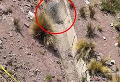 Pisco: hallan cuerpo sin vida con signos de violencia en la vía Los Libertadores