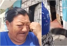 Ica: denuncian muerte de mascota tras ser atropellada por volquete en Parcona