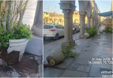 Ica: vándalo daña causó destrozos en cuatro maceteros en los Portales de Luren