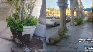 Ica: vándalo daña causó destrozos en cuatro maceteros en los Portales de Luren