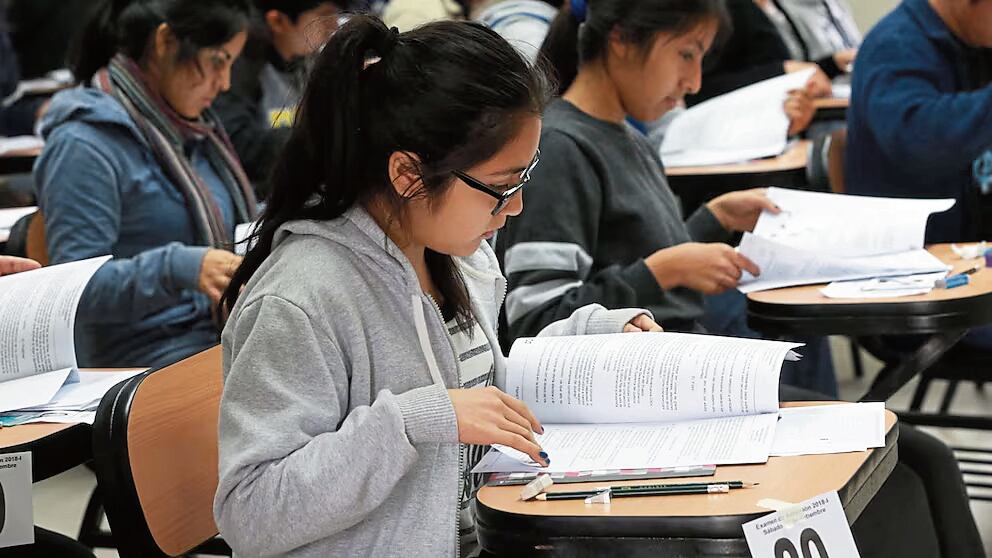 Profesionales que no logran insertarse en su especialidad o que abandonan sus estudios generan pérdidas tanto para ellos como para el sistema.