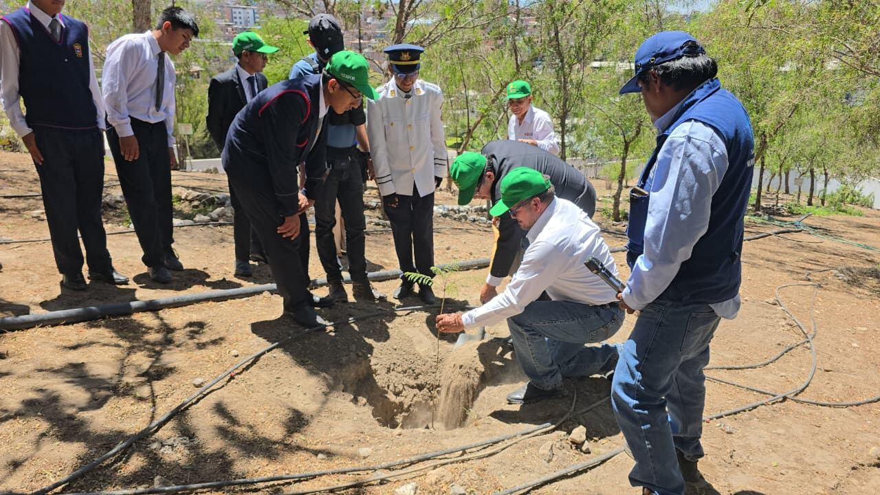 Plan piloto de microbosques en colegios de Arequipa. Foto: GEC.