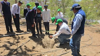 Semana forestal en Arequipa: Implementan plan piloto de bosques escolares