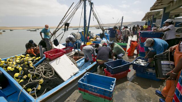 Produce: Sector pesquero crece más de 16% en setiembre
