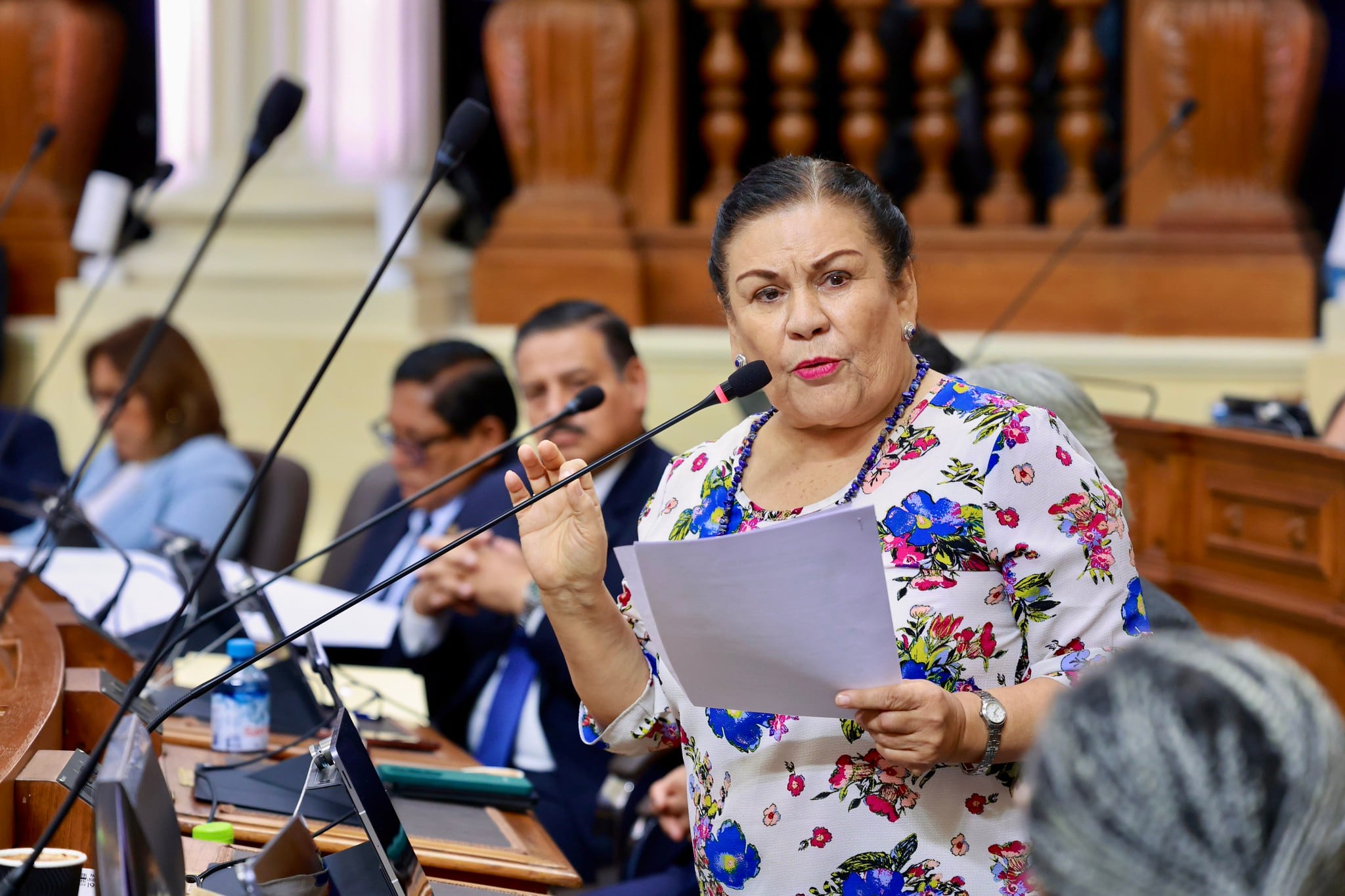 Nora Bonifaz, senadora del Partido del Buen Gobierno. (Foto: Congreso de la República)