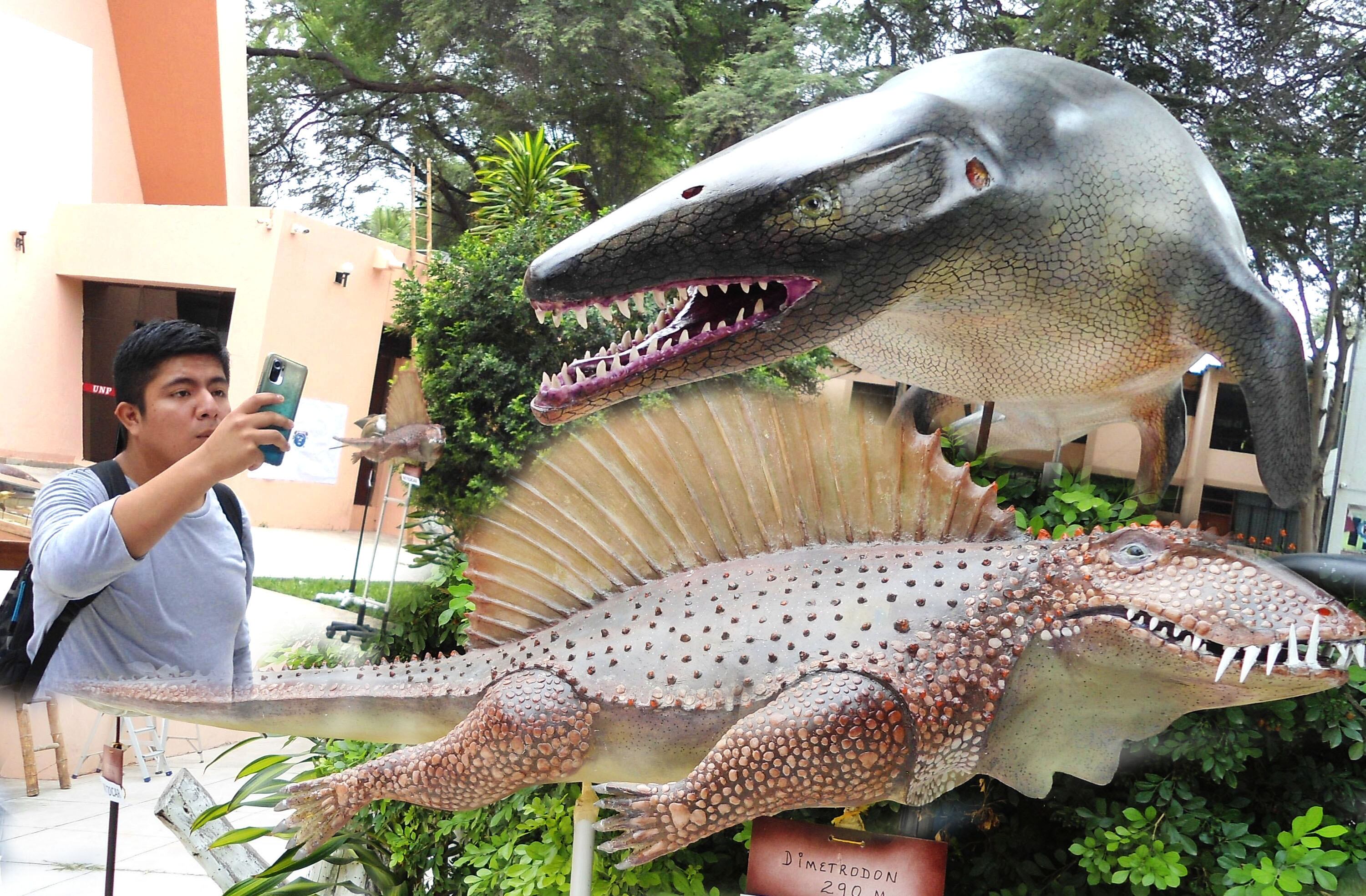 El "Fossil Fest" atrajo a cientos de persoans para conocer los fósiles del Instituto Paleontológico.