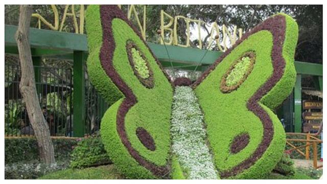 El Jardín Botánico del Parque de las Leyendas, un refugio verde que protege a plantas en riesgo