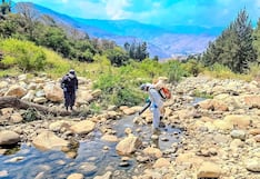 Intervienen riberas del Huallaga para combatir proliferación de mosquitos