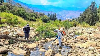 Intervienen riberas del Huallaga para combatir proliferación de mosquitos