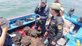 Pisco: operativo contra la pesca ilegal de conchas de abanico en la bahía de playa Paracas