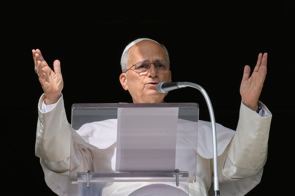 La petición contempló la fabricación y utilización de placas especiales para identificar las unidades que transportarán al Papa durante sus actividades en el país. Foto: EFE/EPA/VATICAN MEDIA