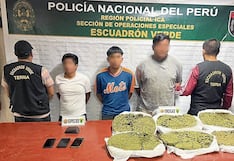 Ica: desarticulan presunta banda “Los Dementes del Sur” con ocho kilos de marihuana