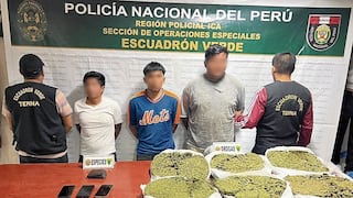 Ica: desarticulan presunta banda “Los Dementes del Sur” con ocho kilos de marihuana