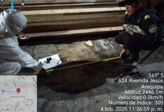 Desconocidos intentan quemar madereras con bombas molotov en Arequipa (VIDEO)