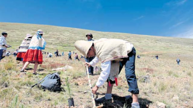 Agricultores de Arequipa cultivan menos por reducción de agua hasta en 10%