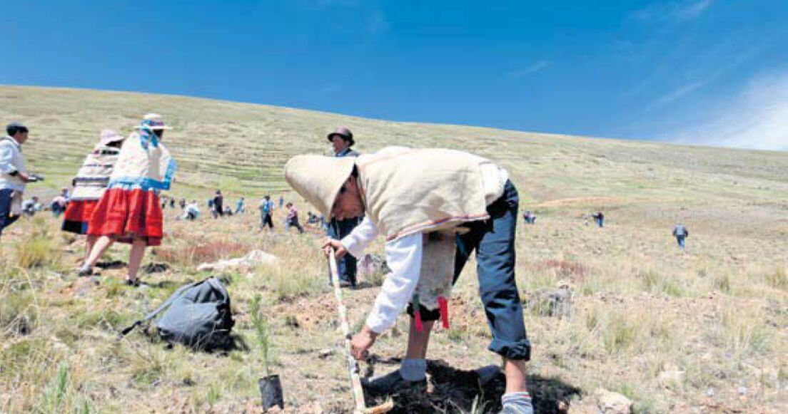 Preocupados por el retraso y poca presencia de lluvias entre la primavera y verano. (Foto: GEC)