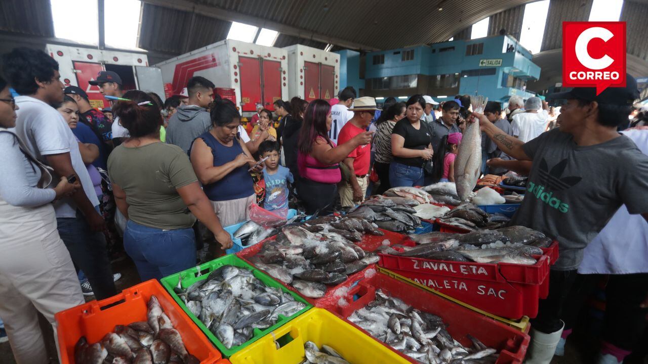 Fotos: Alessandro Currarino / @photo.gec