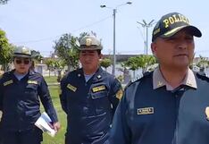 Chincha: desmienten rumores sobre la muerte del puma andino y continúa su búsqueda