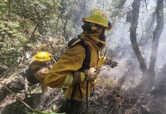 Cusco: incendio forestal en Machu Picchu fue liquidado tras operativo del Sernanp