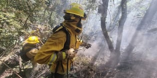 Cusco: incendio forestal en Machu Picchu fue liquidado tras operativo del Sernanp. Foto: Sernanp.