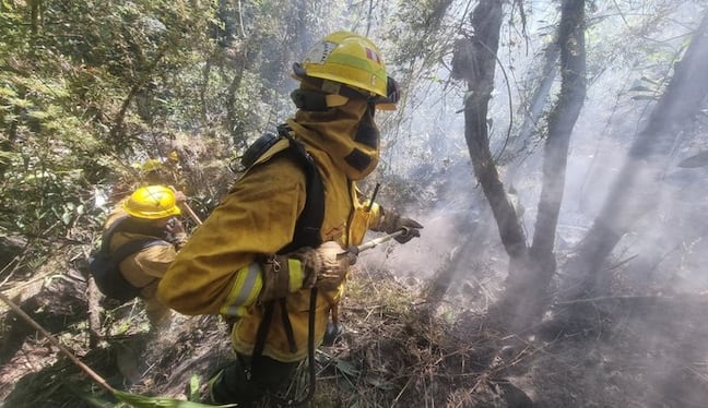 Cusco: incendio forestal en Machu Picchu fue liquidado tras operativo del Sernanp. Foto: Sernanp.