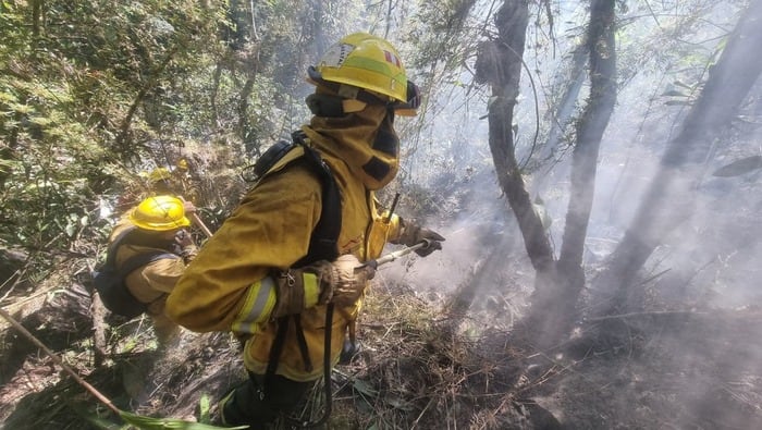 Cusco: incendio forestal en Machu Picchu fue liquidado tras operativo del Sernanp. Foto: Sernanp.