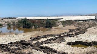 Seis municipios de Ica no ejecutaron acciones preventivas ante inundaciones