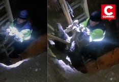 Huancayo: serenos rescatan a perro que cayó a zanja de cinco metros